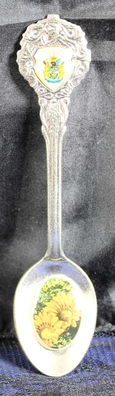 Souvenir Tea Spoon - Tzaneen