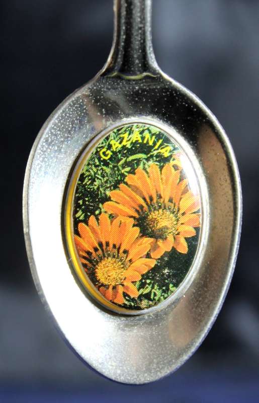 Souvenir Tea Spoon - Tzaneen