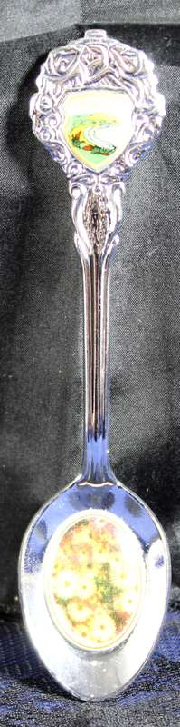Souvenir Tea Spoon - Langebaan