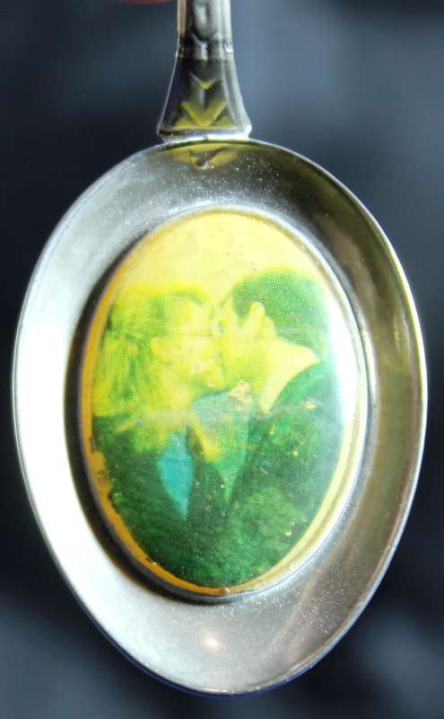 Souvenir Tea Spoon - Prince Edward and Sarah