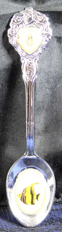 Souvenir Tea Spoon - Saldanha