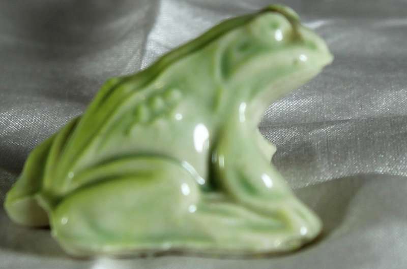 Wade Whimsie - Frog