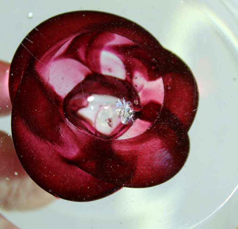 Murano Styled Hand Formed Paperweight with Flower Inside