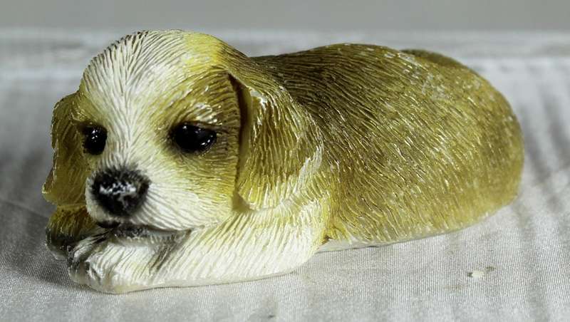 Little Dog Lying on Front Paws