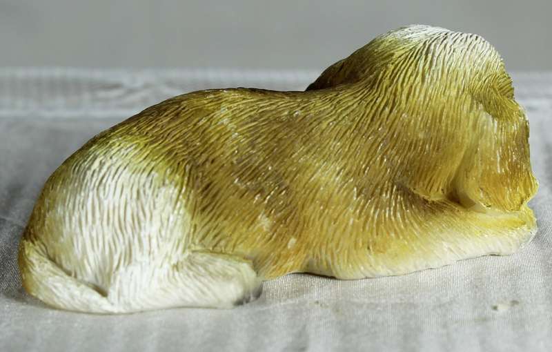 Little Dog Lying on Front Paws