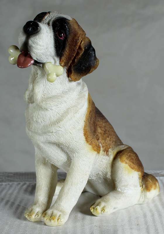 Saint Bernard Dog Sitting Down with Bone