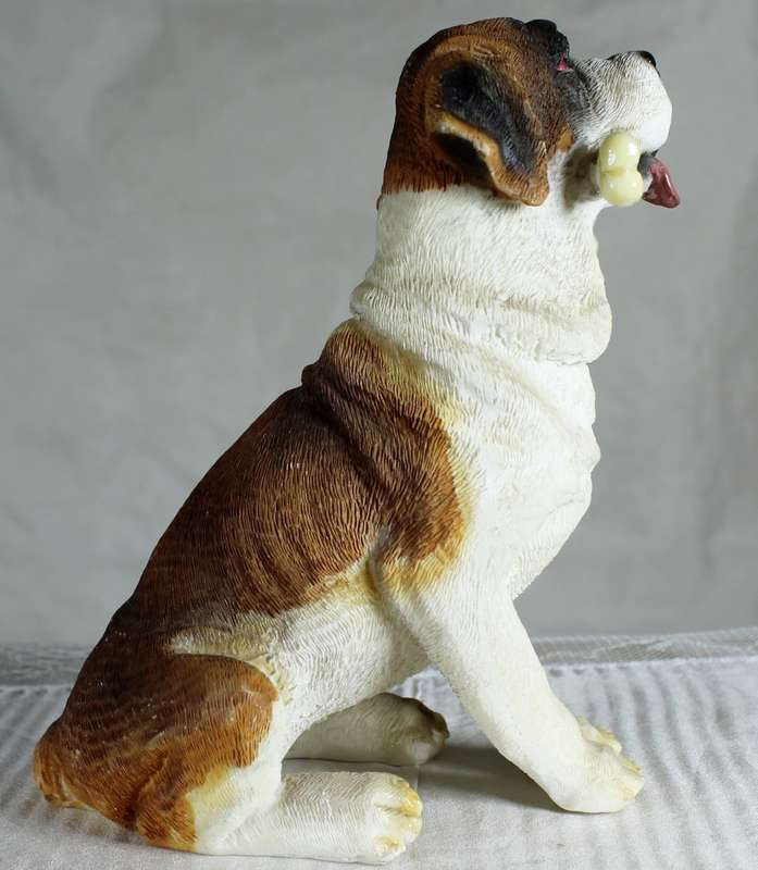 Saint Bernard Dog Sitting Down with Bone