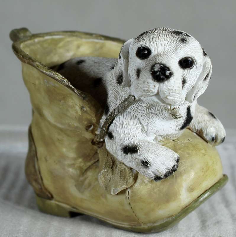 Dalmatian in Shoe