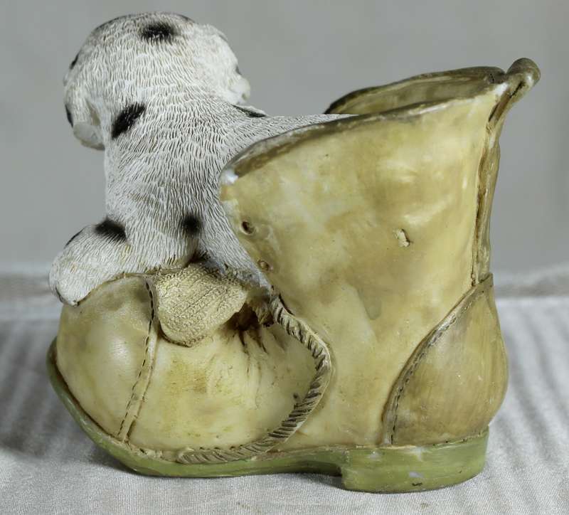 Dalmatian in Shoe
