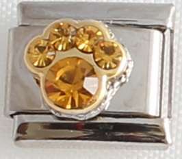 Italian charms (Fits Nomination) - Paw Birthstone November