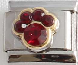 Italian charms - Paw Birthstone January (Fits Nomination)