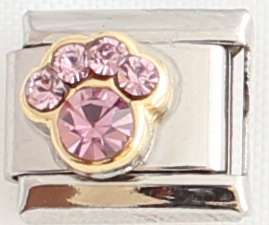 *CHRISTMAS SPECIAL* -Italian charms - Paw Birthstone June (Fits Nomination)