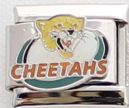 Italian charms - Cheetahs Rugby (Fits Nomination)