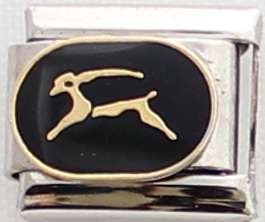 Italian charms - Zodiac Capricorn (Fits Nomination)