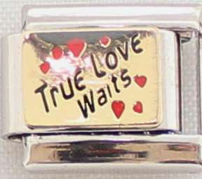 **Christmas Special** Italian charms - True Love Waits (Fits Nomination)
