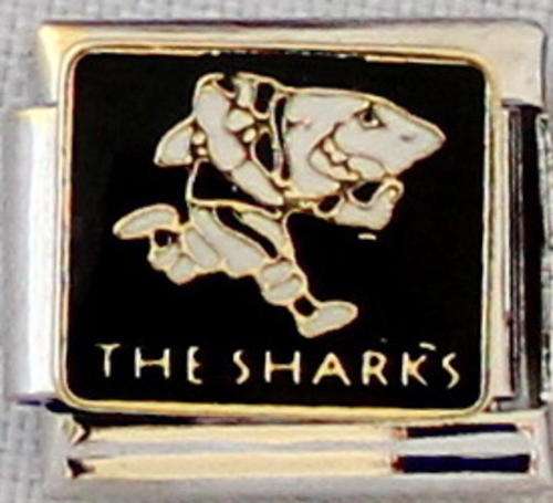 Italian charms (Fits Nomination) - The Sharks Rugby