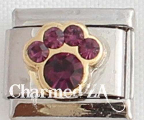 Italian charms - Paw Birthstone February (Fits Nomination)