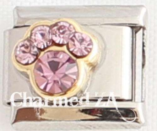 Italian charms - Paw Birthstone June (Fits Nomination)