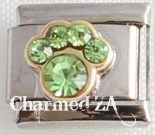 Italian charms - Paw Birthstone August (Fits Nomination)