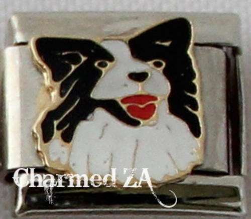 Italian charms - Border Collie (Fits Nomination)