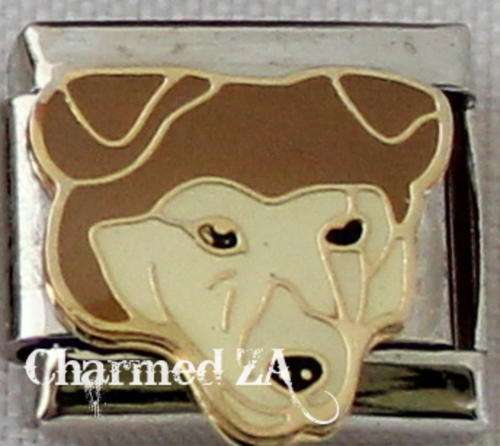 Italian charms - Brown dog (Fits Nomination)