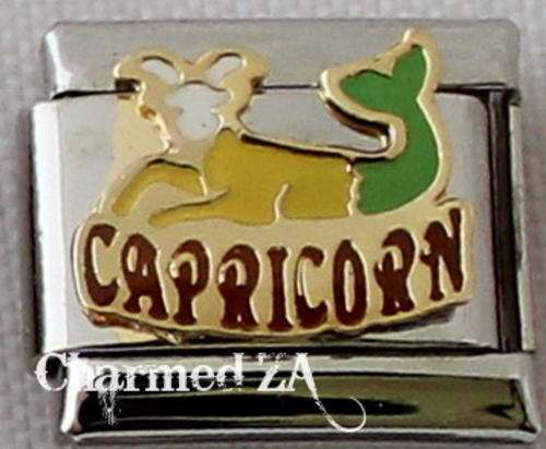 Italian charms - Capricorn Colour (Fits Nomination)