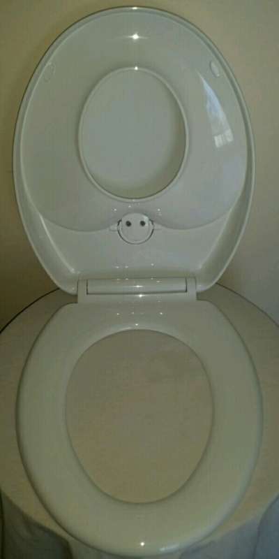 Dual family toilet seat ideal for potty training