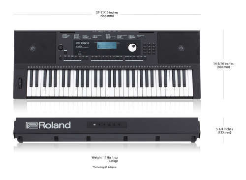 Roland EX-20 Portable Arranger Keyboard with Stand