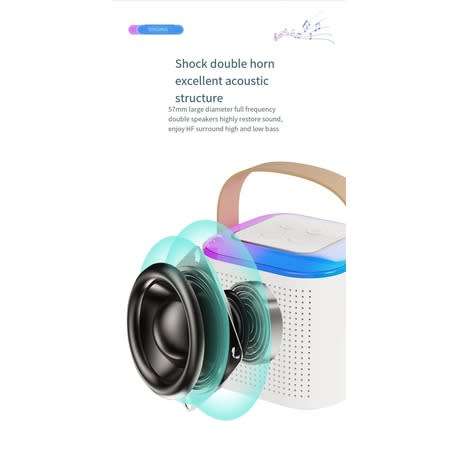 Portable Bluetooth Karaoke Machine -  2 Microphones