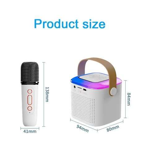 Portable Bluetooth Karaoke Machine -  2 Microphones