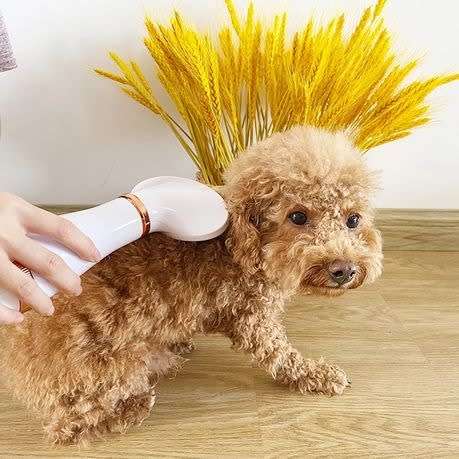 Pet Hair Dryer, 2-in-1 Pet Blow Velocity Blower Portable and Silent