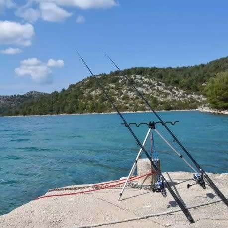 Fishing rod Tripod holder