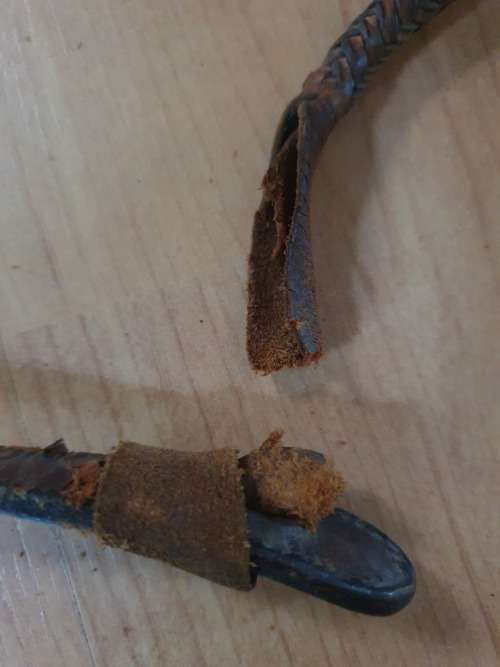 Vintage Lunge Whip with Antler Handle 1930s