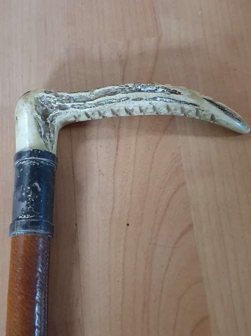 Vintage Lunge Whip with Antler Handle 1930s