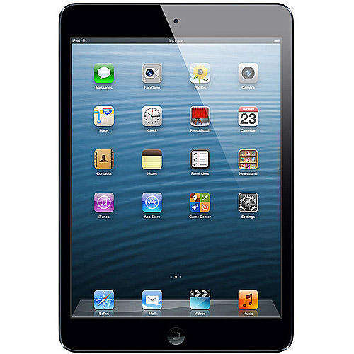 IPad Mini Black 64 Gig + Spec Hardcase cover