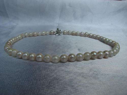 The Kavanaghs Collection - Genuine Akoya Pearl Necklace