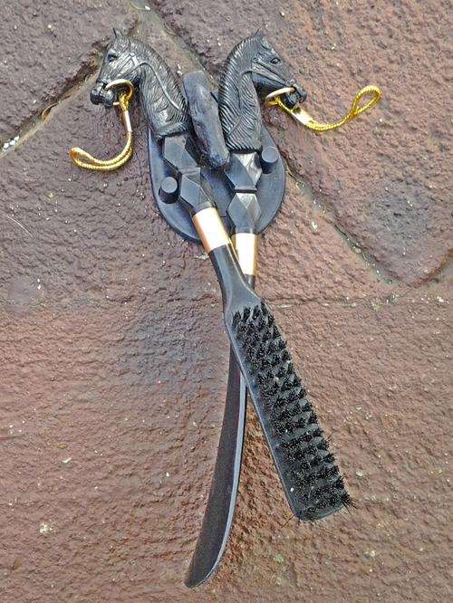 A nice collectable Vintage Brush and Shoehorn - very unique - a definate for the collector.