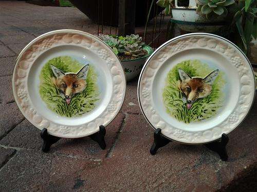 A  set of Palissy - England "FOX" Plates stamped. Est "1853" A Royal Worcester Company - see pics.