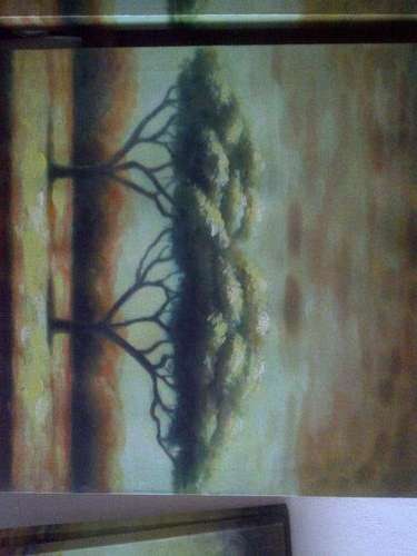 Baobab tree paintings x2 (80cm x 40cm each)