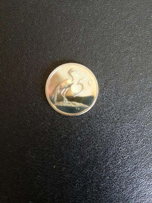 1989 RSA PROOF 5 CENT- RARE ONLY 35 540 MINTED    STARTING AT A CRAZY R1