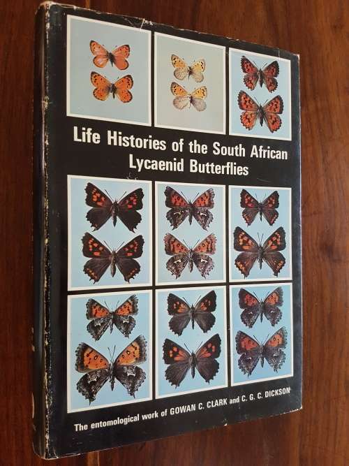 Life Histories Of The South African Lycaenid Butterflies