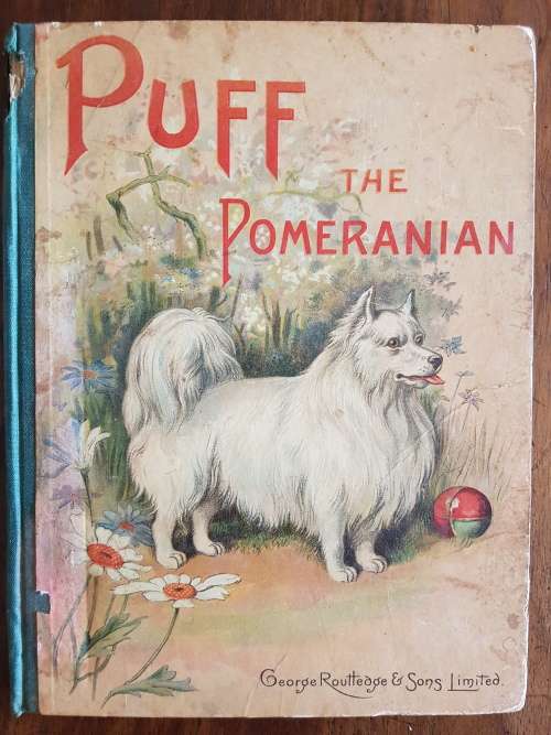 Puff The Pomeranian - By Mrs. Sale-Barker