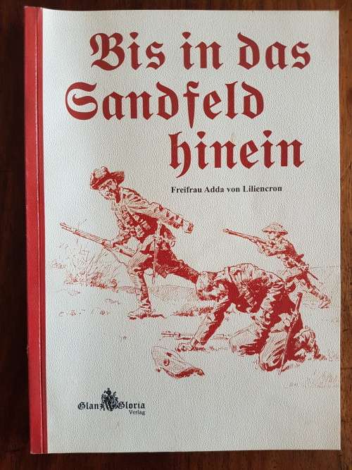 Bis in das Sandfeld hinein - Freifrau Adda von Lilliencron