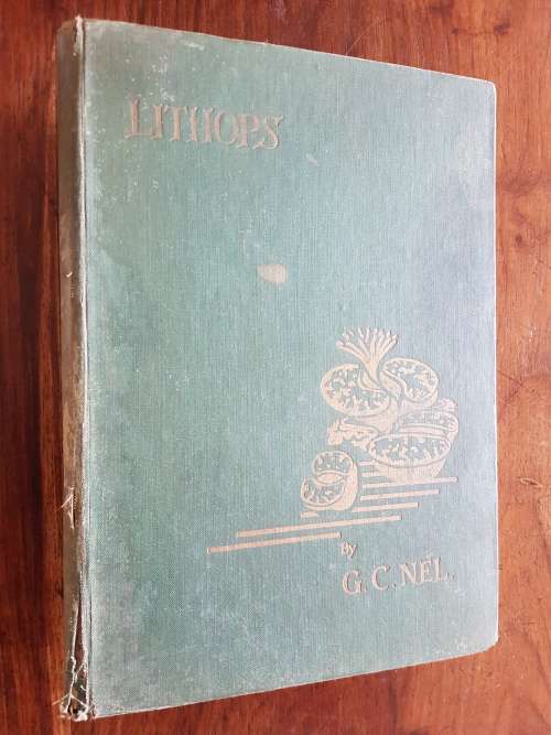 Lithops - By C.G. Nel