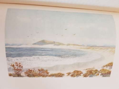 The Cape Peninsula and On the Borders of Pigmy-Land