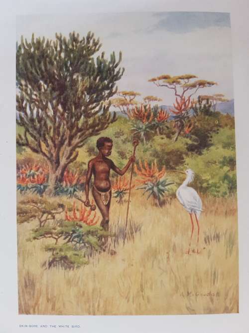 The Bull of the Kraal and the Heavenly Maidens - By Dudley Kidd