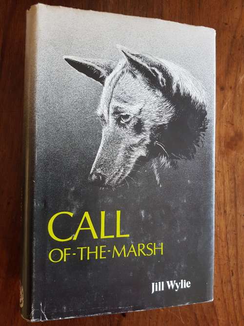 Call-Of-The-Marsh - Life With A Basenji - By Jill Wylie