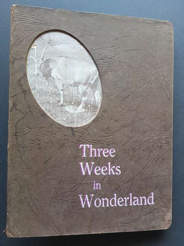 Three Weeks in Wonderland - By Edith L. Prance