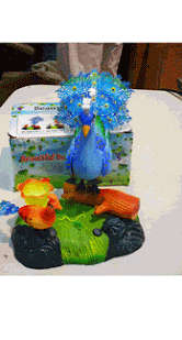 Tropical bird