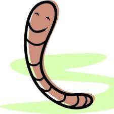 Earthworms for Domestic wormery - Free postage